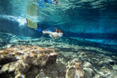 Dori the Mermaid